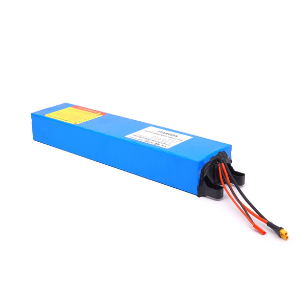 Batterie Lithium LiFePO4 48V 50Ah Pour VAE / Scooter - Tzipower - Neuve