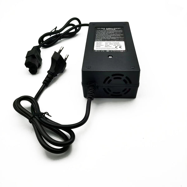 Masori Power Ladegerät 12V/10A für LiFePO4 Ladegerät kaufen 