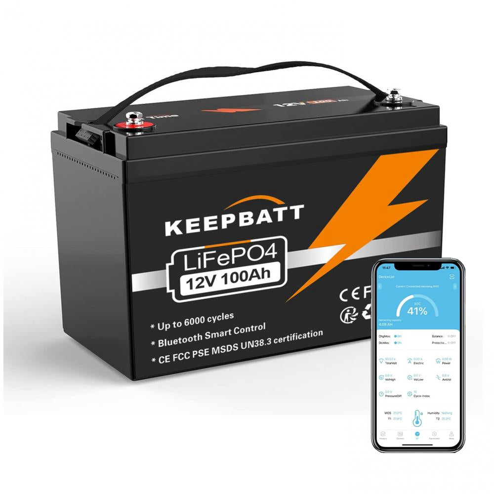 Bluetooth Lifepo4 Akku 12V 100Ah Autobatterie mit BMS Ersetzt AGM
