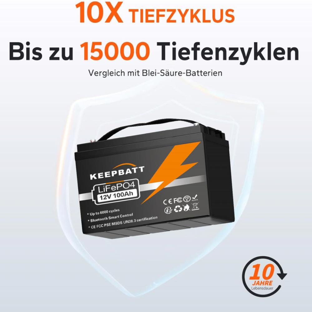 12V 100AH LiFePO4 Akku mit BMS Für boot RV UNS EU Steuer Freies –  batteryzone-de