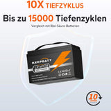 4 x 12V 100AH LiFePO4 Akku Batterie mit BMS Für boot RV UNS EU Steuer Freies