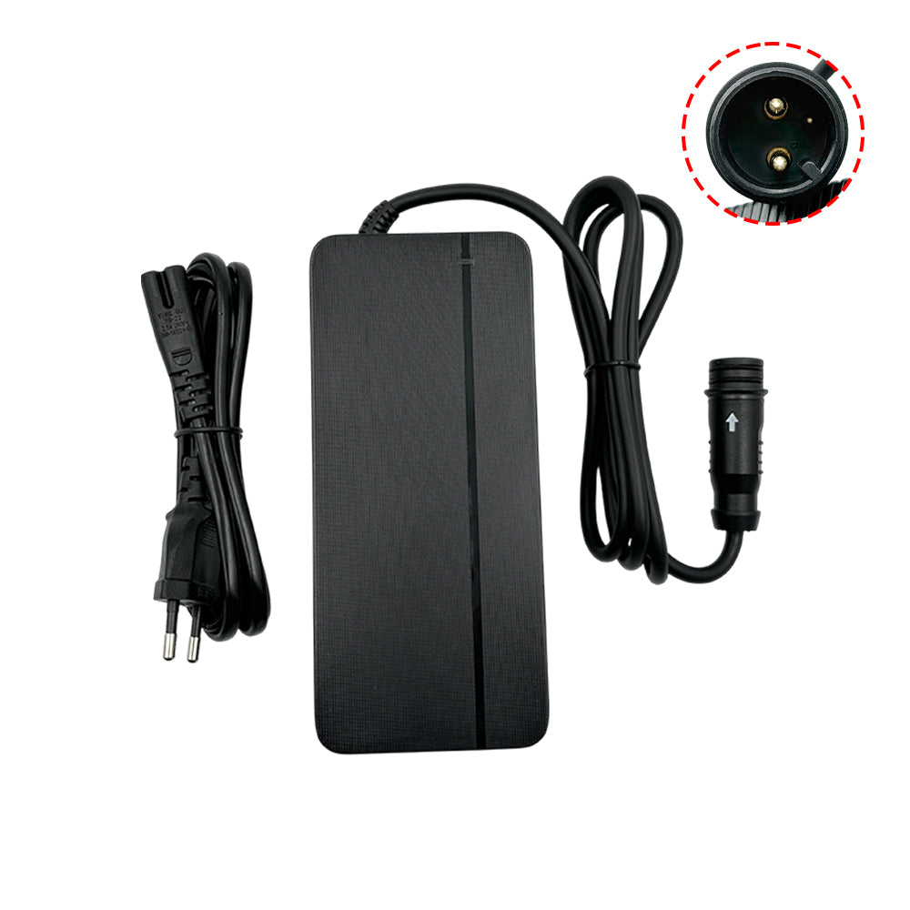 ladegerät für flyer e-bike KEEPBATT Schnell E-Bike Ladegerät 36V 4A für Flyer SIB2 STB FIT 1 Syst –  batteryzone-de
