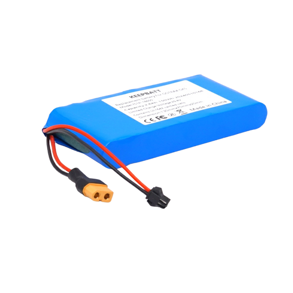25,2 Volt 3Ah Lithium Akku für Kinder Elektro Scooter E-Skateboard