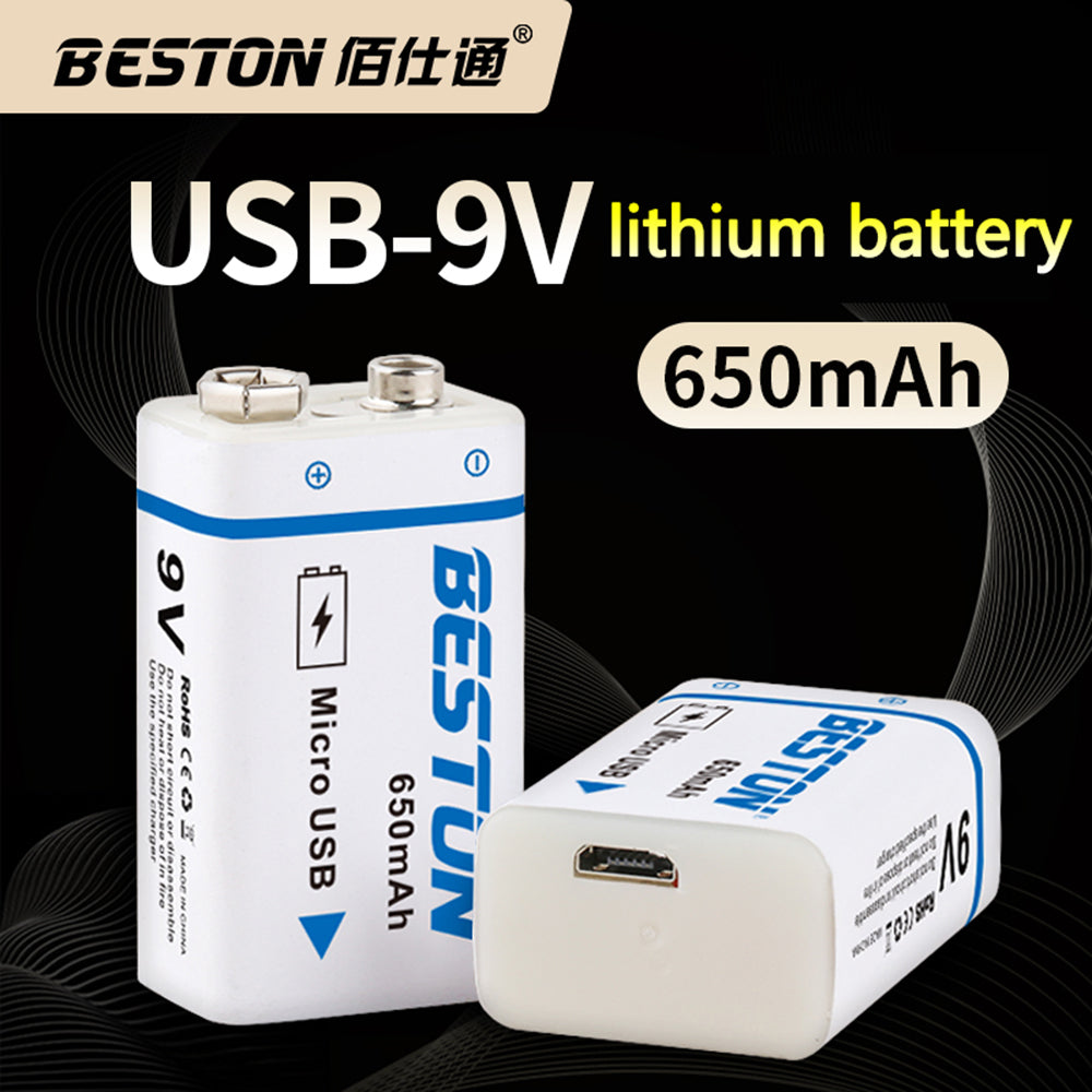 9V 650mAh BESTON Hochwertiger USB-Li-Ionen-Lithium-Akku für Multimeter und elektronische Instrumente