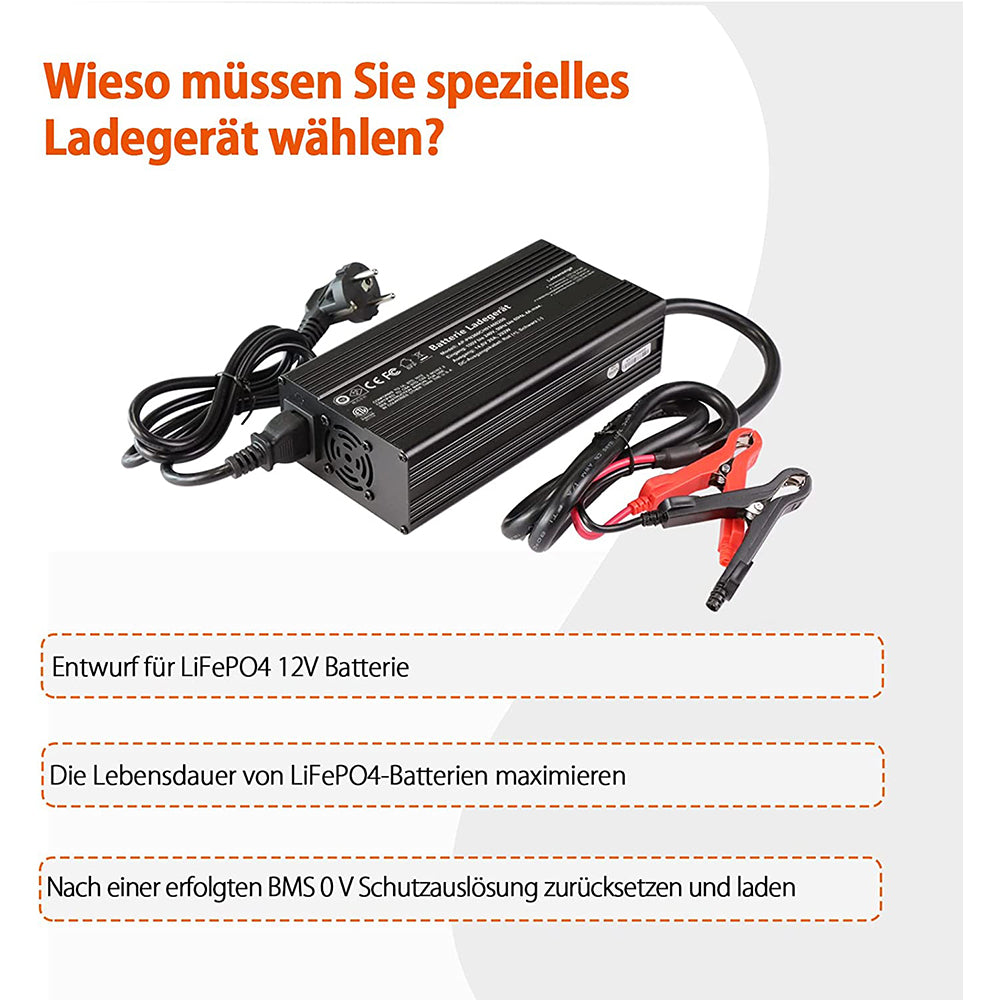 Redodo 14,6V 20A Lifepo4 Batterieladegerät für Lithium-Eisenphosphat-Batterie,  unterstützt schnelles Laden, 95% Ladeeffizienz, entwickelt für das Laden  von Tiefzyklus LiFePO4-Batterien: : Elektronik & Foto