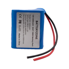 Wiederaufladbarer 12V 4400mAH 18650 Li-Ion Akku mit 12V 2A Ladegerät