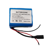 12V 5Ah 5000mAh 18650 Akku BMS Lithium Akku Schutzplatine mit 12,6V 1A Ladegerät