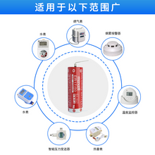 2750mah ER17/50 3.6V Batterie PH2.0 epson Epson Robot Sumitomo Spritzgießmaschine System Lithiumbatterie